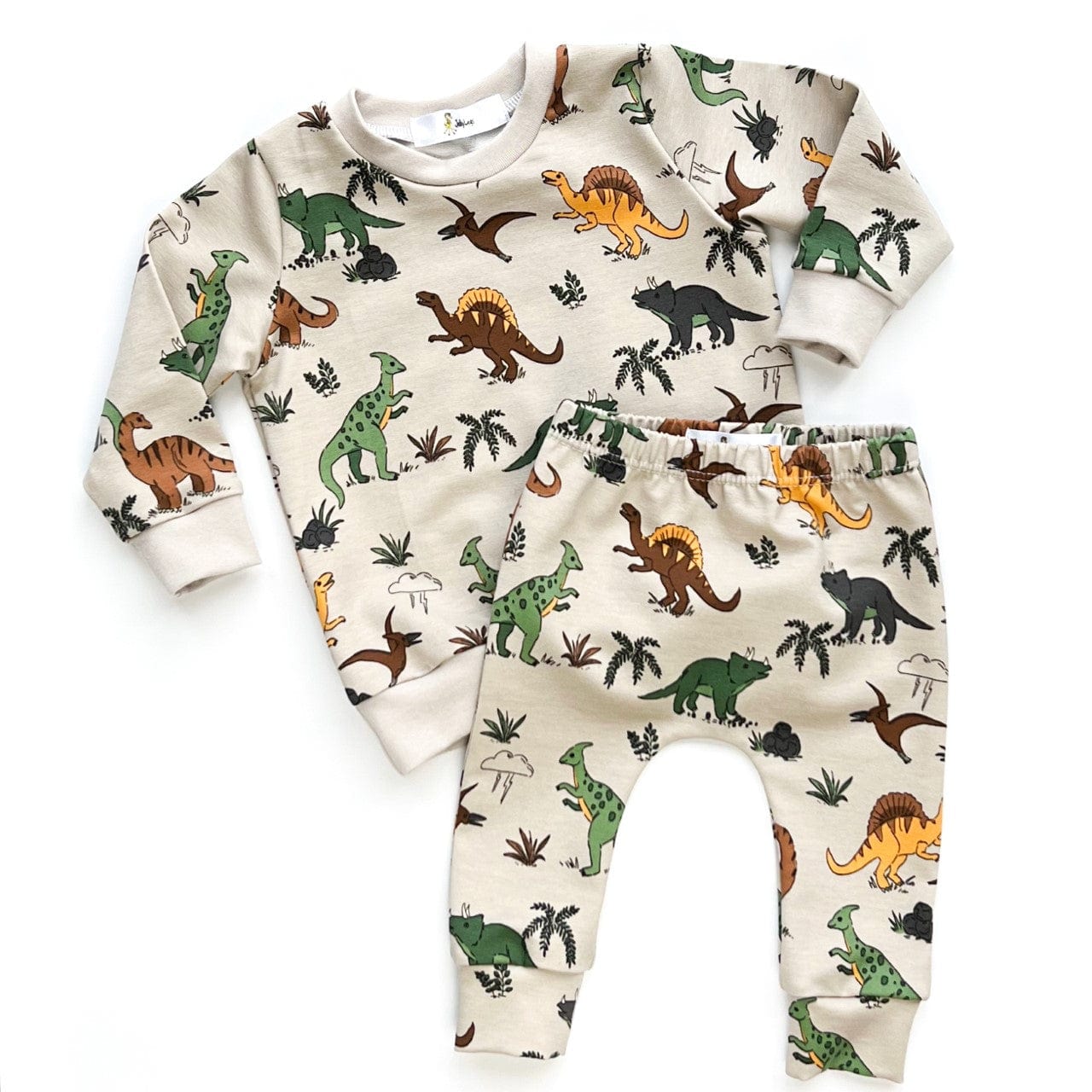 Baby & Child Dinosaur Set